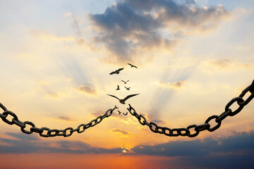 Metal chains break and birds fly at sunset in the sky, concept. Freedom and change, creative idea....