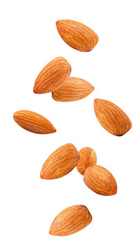 Falling almond isolated on white background, full depth of field