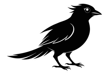  silhouette color image,Darcy bird ,vector illustration,white background
