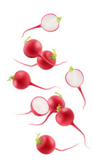Falling Radish isolated on white background, full depth of field