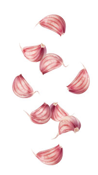 Falling Garlic clove isolated on white background, full depth of field