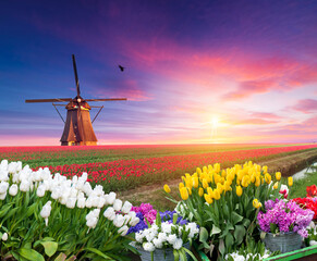 A windmill stands tall in a field of colorful flowers as the sun sets behind a backdrop of fluffy clouds, creating a picturesque natural landscape - 773341207