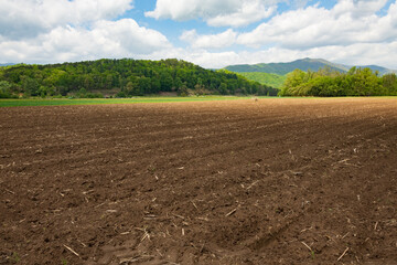 Fallow land in North Carolina ready to be seeded