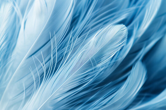 Detailed macro shot of blue feathers, revealing intricate patterns and textures in high resolution
