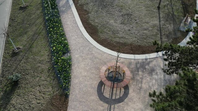 a circle-shaped wood bench with a tree growing in the middle. swings and sandy paths in the park. a bed of flowering bulbs. yellow gates and pine trees looking vertically down, drinking fountain