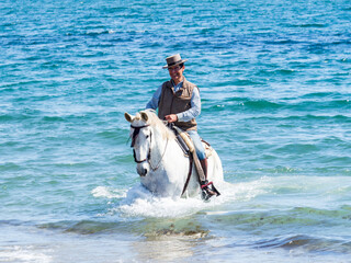 Jinete a caballo dentro del mar
