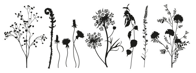 Floral collection of black silhouettes of meadow herbs. Branches, leaves, herbs, flowers, wild plants. Wildflowers.  Floral elements for your design. Vector illustration. - obrazy, fototapety, plakaty