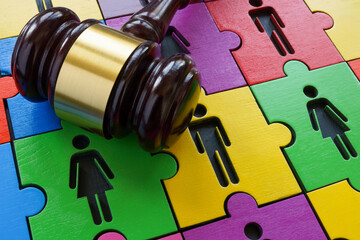 A puzzle of male and female figures as a symbol of diversity and equality and a gavel as a concept...