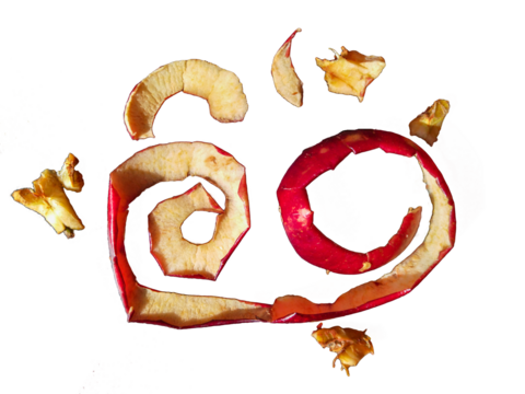 Apple leftovers isolated photo