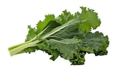 A vibrant bunch of various green leafy vegetables arranged on a stark white background