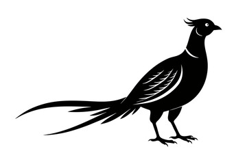 pheasant icon silhouette black vector illustration