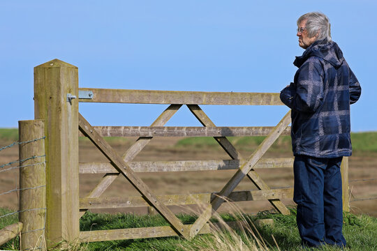 Senior standing looking over the gate at the Marsh, windy day, blue sky, he is looking in the distance at the environment with a concentrated expression, has silver hair blowing in the wind - exercise