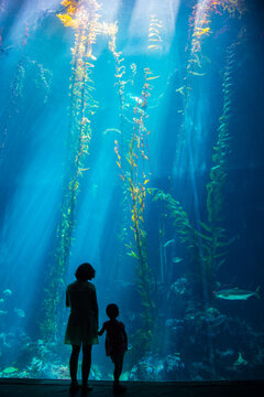 Kending, Taiwan - May 27 2015: Mother and daughter standing in front of the giant aquarium tank in NMMBA