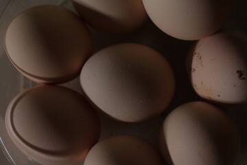 Chicken eggs 1