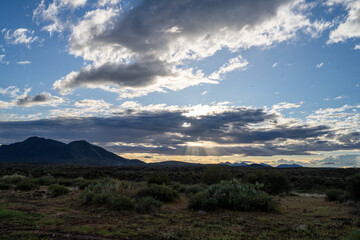 Beautiful spring afternoon in Arizona's Tonto National Forest, complete with some nice sun rays. 