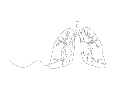 Continuous one line drawing of human lungs. One line of anatomical human lungs. Medical internal concept continuous line art. Editable outline.