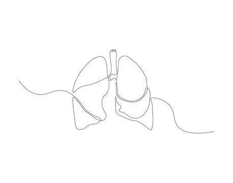 recommend clip art: Continuous one line drawing of human lungs. One line of anatomical human lungs. Medical internal concept continuous line art. Editable outline.