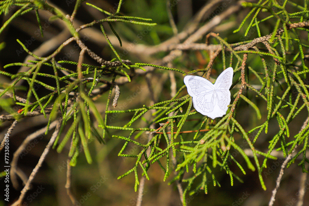 Poster Closeup of Mediterranean rosemary leaf with a butterfly made of paper