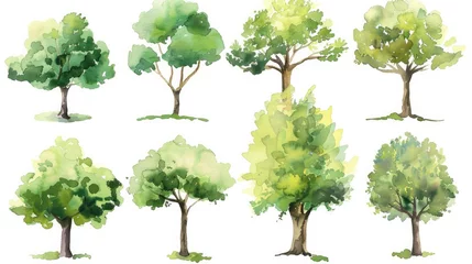 Papier Peint photo Lavable Couleur pistache Spring botanical section including a set of watercolor green trees isolated on a white backdrop for drawing landscapes.
