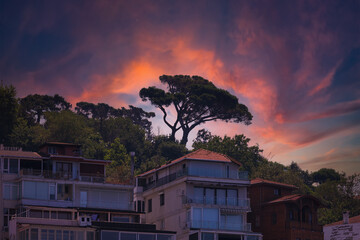 Evening view of the city. Sunset orange sky and beautiful landscape, houses and city streets,...