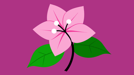 Brighten Your Design with Stunning Bougainvillea Flower Vector Graphics A Comprehensive Collection