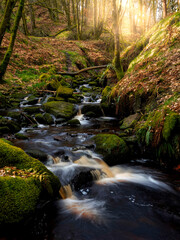 Mountain river in England, dreamy scenery, moss-covered stones and beautiful waterfall in the forest. Sunny creek in spring cloudy Yorkshire evening. small cascade surrounded by moss and autumn leaves