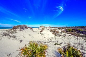 now-white sand dunes create a mesmerizing landscape at St. Andrews State Park