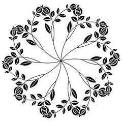 Round star shape floral mandala with stylized blooming branches with berries or fruits. Folk style. Black and white silhouette.