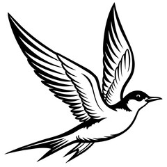 tern fly silhouette vector art illustration