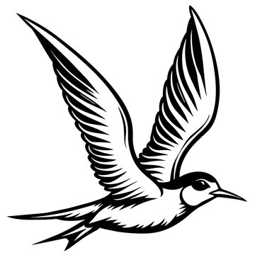 recommend clip art: tern fly silhouette vector art illustration