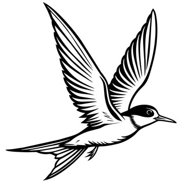 recommend clip art: tern fly silhouette vector art illustration