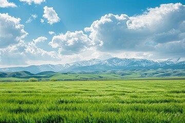 Spring green fields landscape with mountains, blue sky and clouds, peaceful rural scenery