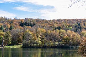 Fototapeta premium Panoramic view of turquoise Kozjak lake in colorful autumn in magical Plitvice lakes National Park, Karlovac, Croatia, Europe. Idyllic forest in serene beauty of landscape. Tranquil scene in nature