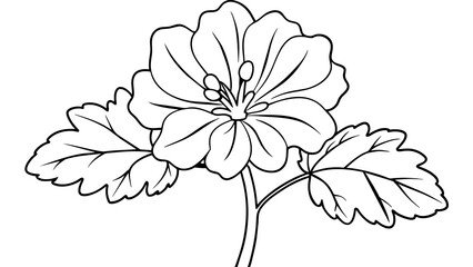 Vibrant Geranium Flower Vector Graphics Blossoming Beauty for Your Designs