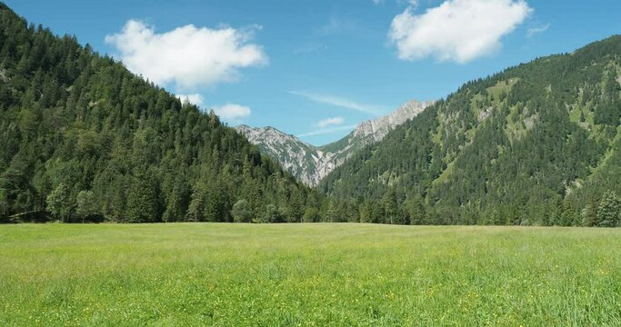 Naturpark Karwendeltäler bei Pertisau am Achensee. Wunderschön grüne Wiese im Talschluss vom Gerntal zwischen Feilalm, Pletzachalm und Gernalm am Fuße  in Österreich

