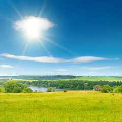 Summer pasture with fresh grass and blue sky with sun. - 773401863