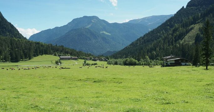 Naturpark Karwendelt&auml;ler bei Pertisau am Achensee. Das Gerntal zwischen Pletzachalm und Seenh&uuml;tten. Blick Richtung B&auml;renkopf; B&auml;renbadalm und Zw&ouml;lferkopf mit Karwendelbahn