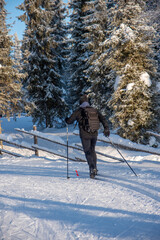 Cross country skiing in Lapland Finland