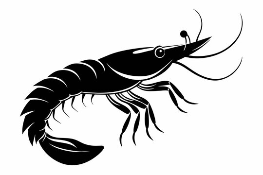 recommend clip art: shrimp silhouette black vector illustration