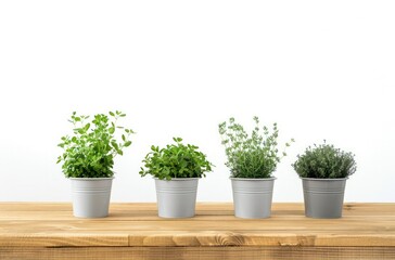 Several potted plants arranged neatly in a row on top of a rustic wooden table