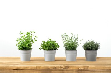 Fototapeta premium Several potted plants arranged neatly in a row on top of a rustic wooden table