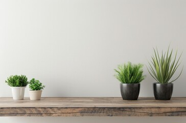 Three green plants in pots displayed on a wooden shelf