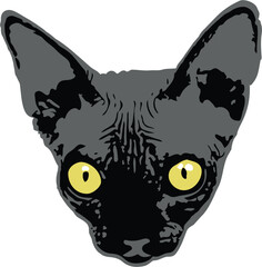 Black hairless sphynx cat breed illustration vector