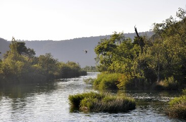 Rzeka Krka w Chorwacji.