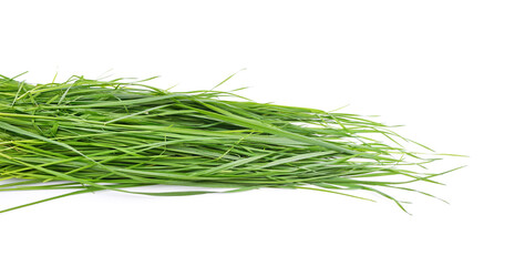 Bunch of green grass.