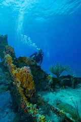 Diver exploring the WW II wreck of the Benwood off Key Largo, Florida
