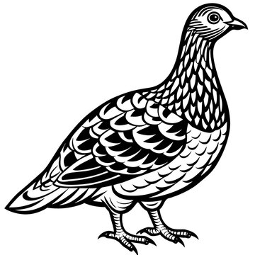 recommend clip art: ptarmigan silhouette vector art illustration