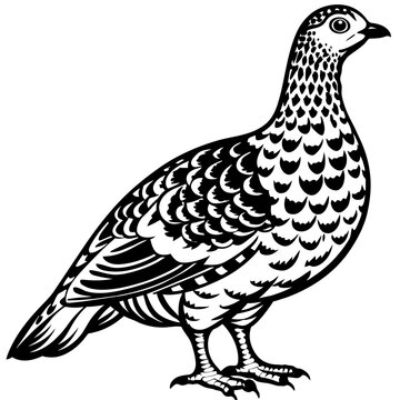recommend clip art: ptarmigan silhouette vector art illustration