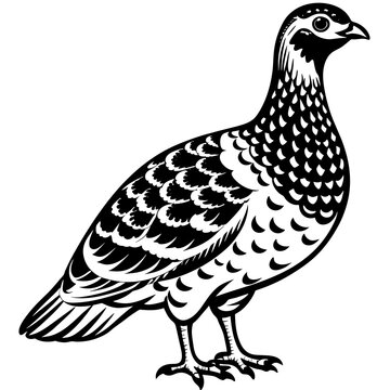 recommend clip art: ptarmigan silhouette vector art illustration