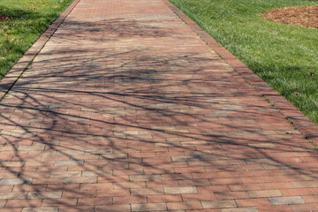 Shadows of bare trees falling across a wide brick walkway, creative copy space, bright path beyond,...